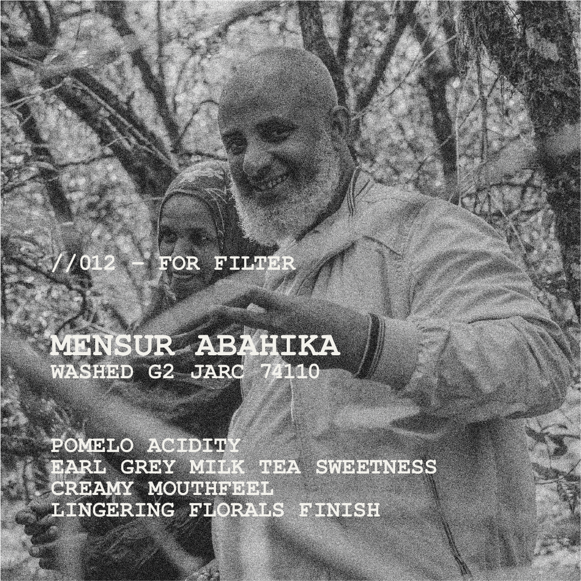 [FILTER] ETHIOPIA MENSUR ABAHIKA - WASHED G2 JARC 74110