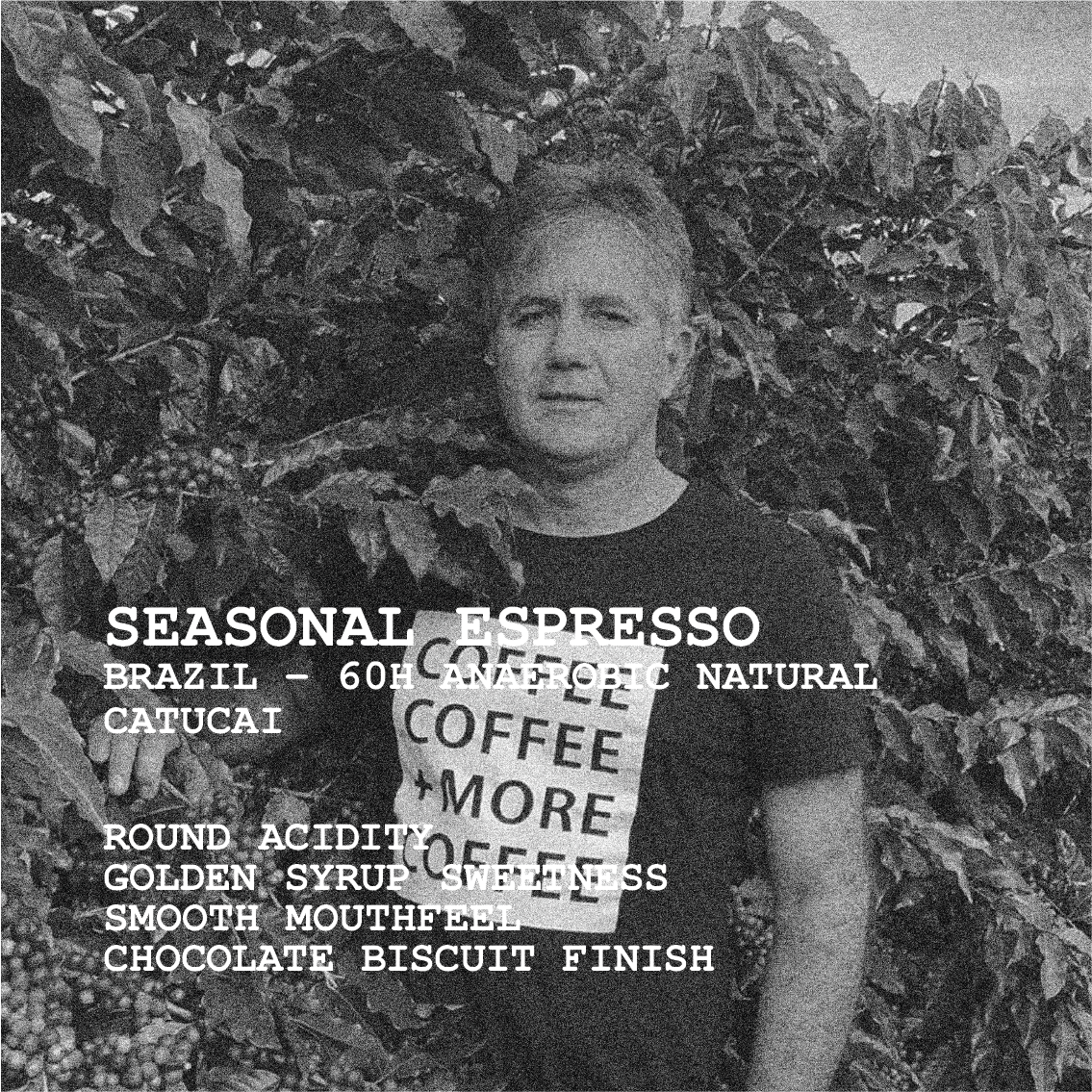 SEASONAL ESPRESSO