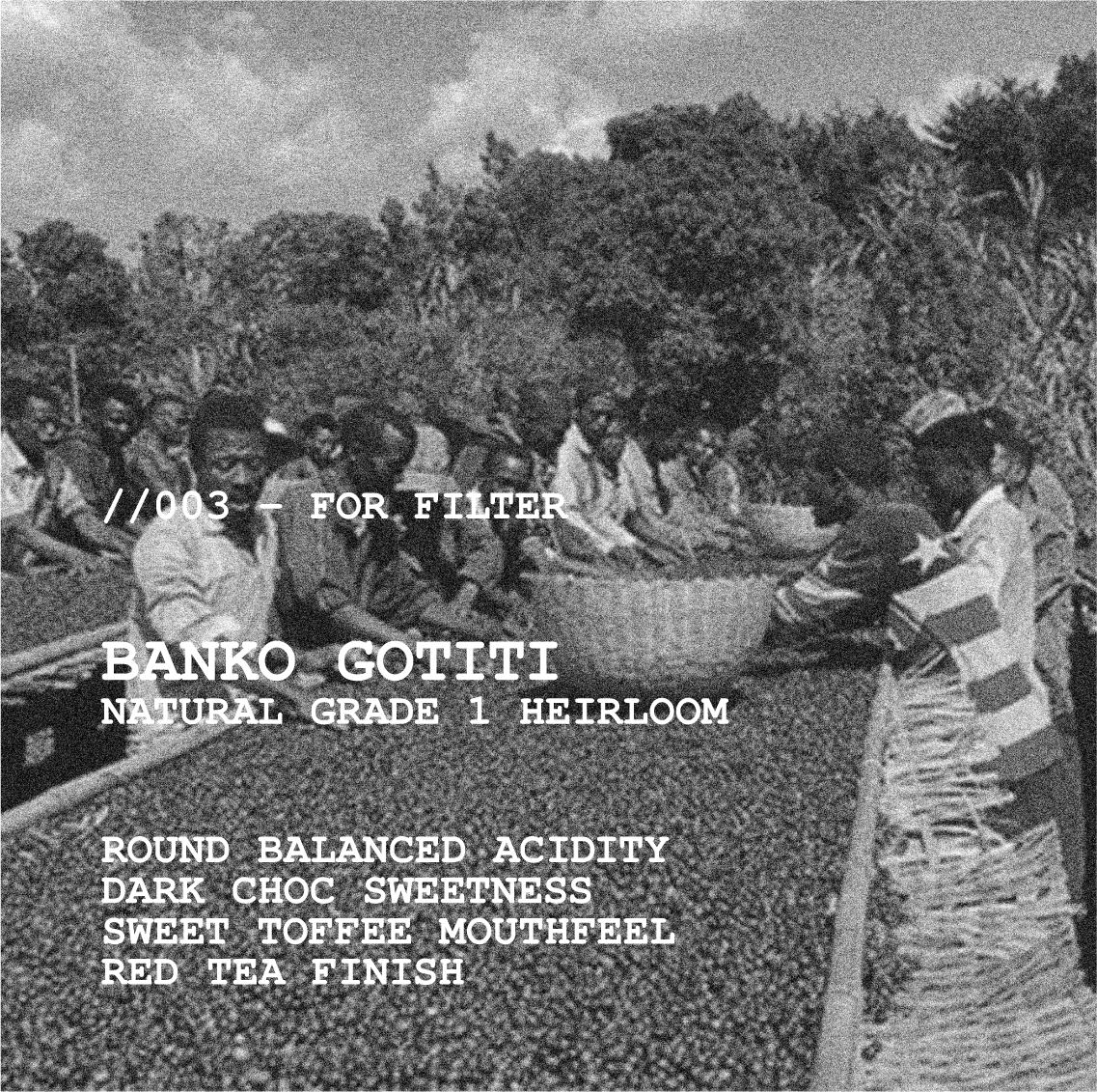 [ARCHIVE] ETHIOPIA BANKO GOTITI G1 NATURAL HEIRLOOM