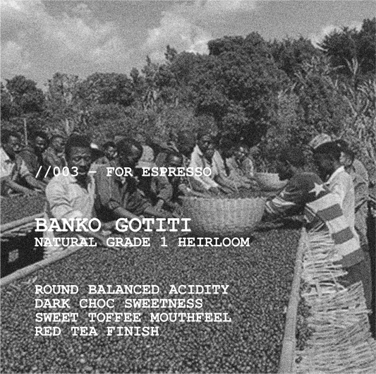 [ESPRESSO] ETHIOPIA BANKO GOTITI G1 NATURAL HEIRLOOM