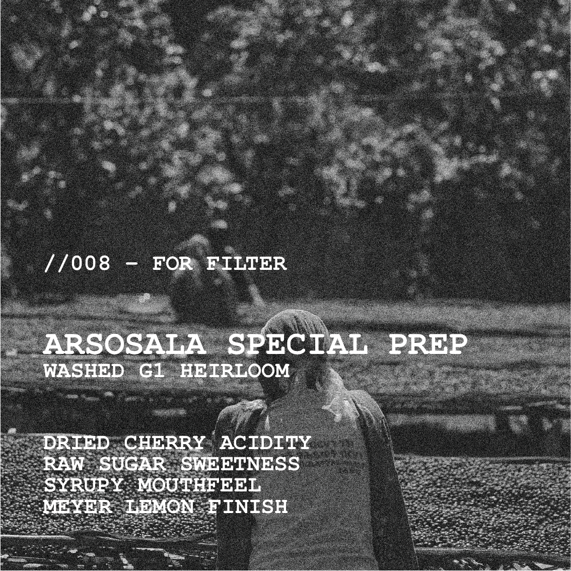 [FILTER] ETHIOPIA ARSOSALA - WASHED G1 HEIRLOOM