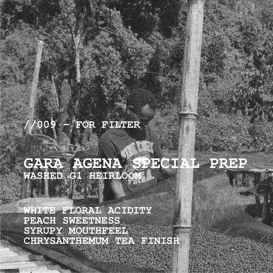 [FILTER] ETHIOPIA GARA AGENA - WASHED G1 HEIRLOOM