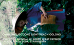 [FILTER] CHINA PROJECT ONE LIGHT PEACH OOLONG -  ANAEROBIC NATURAL CATIMOR