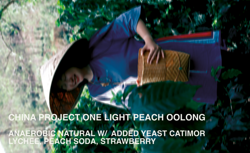 [FILTER] CHINA PROJECT ONE LIGHT PEACH OOLONG -  ANAEROBIC NATURAL CATIMOR