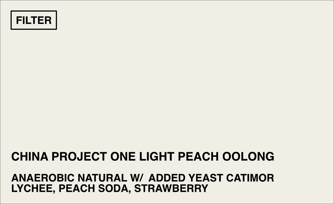 [FILTER] CHINA PROJECT ONE LIGHT PEACH OOLONG -  ANAEROBIC NATURAL CATIMOR