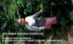 [FILTER] COLOMBIA ADRIANA GONZALEZ - WASHED PINK BOURBON