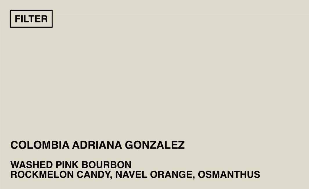 [FILTER] COLOMBIA ADRIANA GONZALEZ - WASHED PINK BOURBON