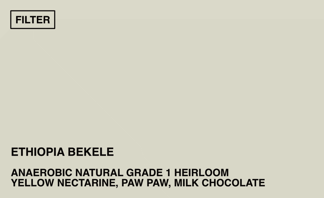 [FILTER] ETHIOPIA BEKELE KACHARA - ANAEROBIC NATURAL G1 HEIRLOOM