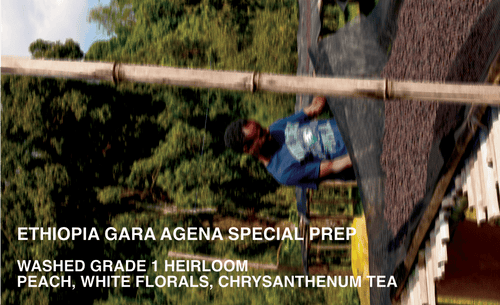 [FILTER] ETHIOPIA GARA AGENA - WASHED G1 HEIRLOOM