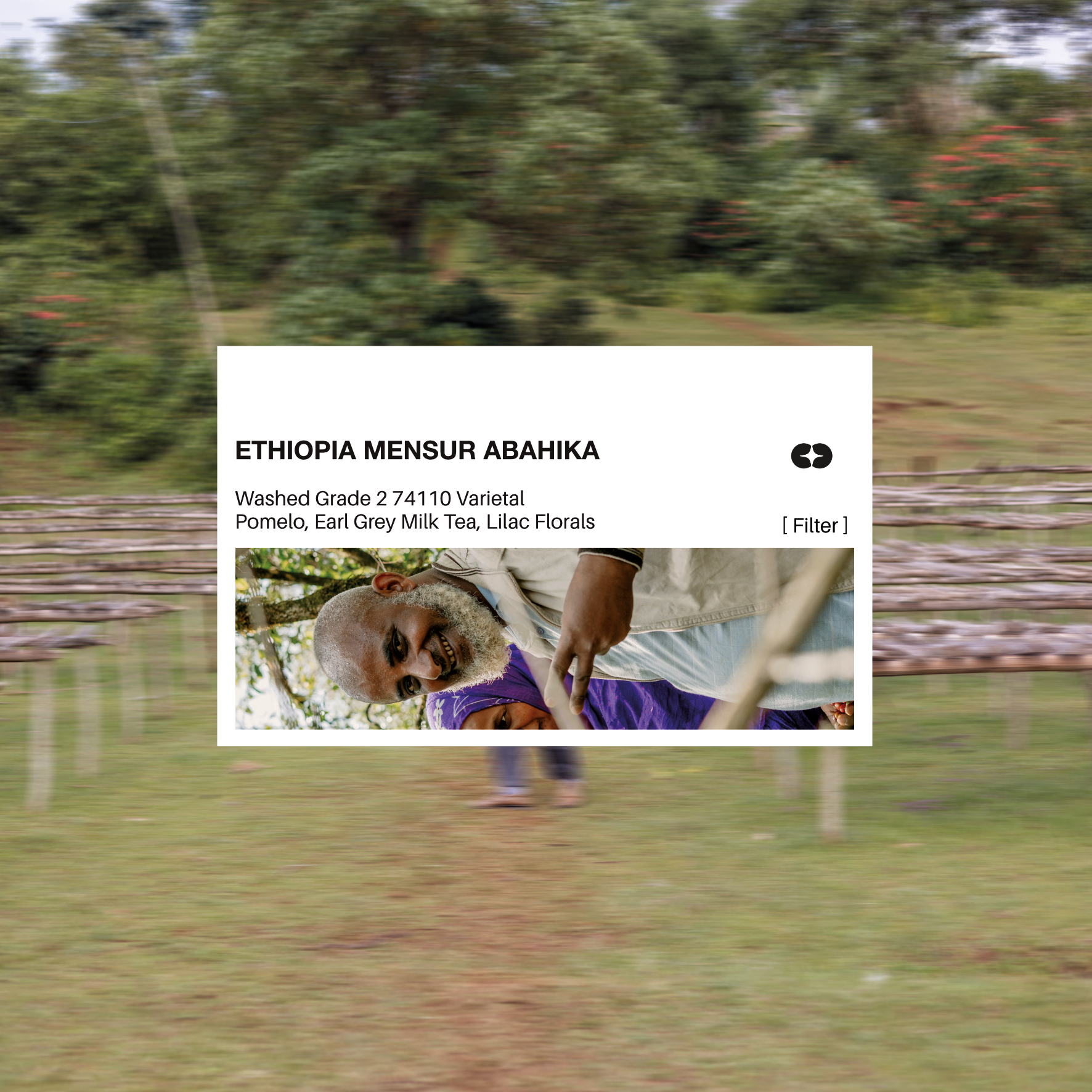 [FILTER] ETHIOPIA MENSUR ABAHIKA - WASHED G2 JARC 74110