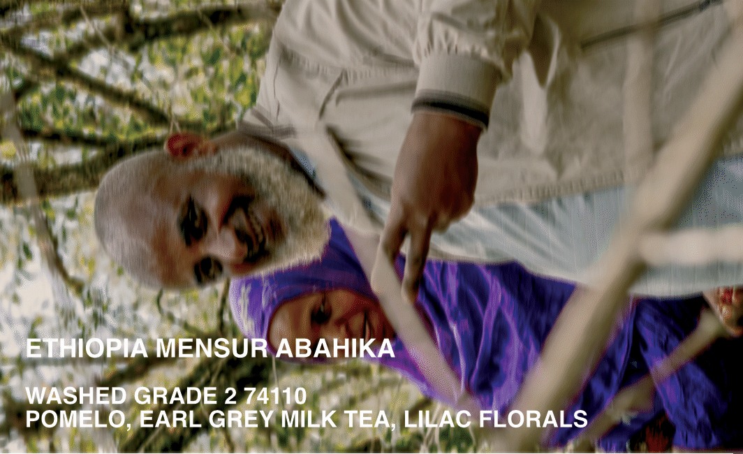 [FILTER] ETHIOPIA MENSUR ABAHIKA - WASHED G2 JARC 74110