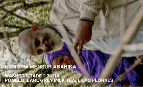 [FILTER] ETHIOPIA MENSUR ABAHIKA - WASHED G2 JARC 74110