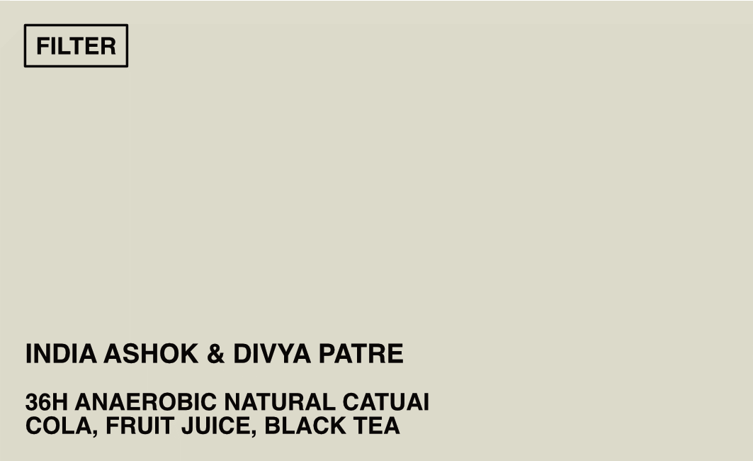 [FILTER] INDIA ASHOK AND DIVYA PATRE - NATURAL 36H ANAEROBIC CATUAI W/ ISOLATED MICROBES