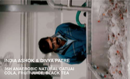 [FILTER] INDIA ASHOK AND DIVYA PATRE - NATURAL 36H ANAEROBIC CATUAI W/ ISOLATED MICROBES
