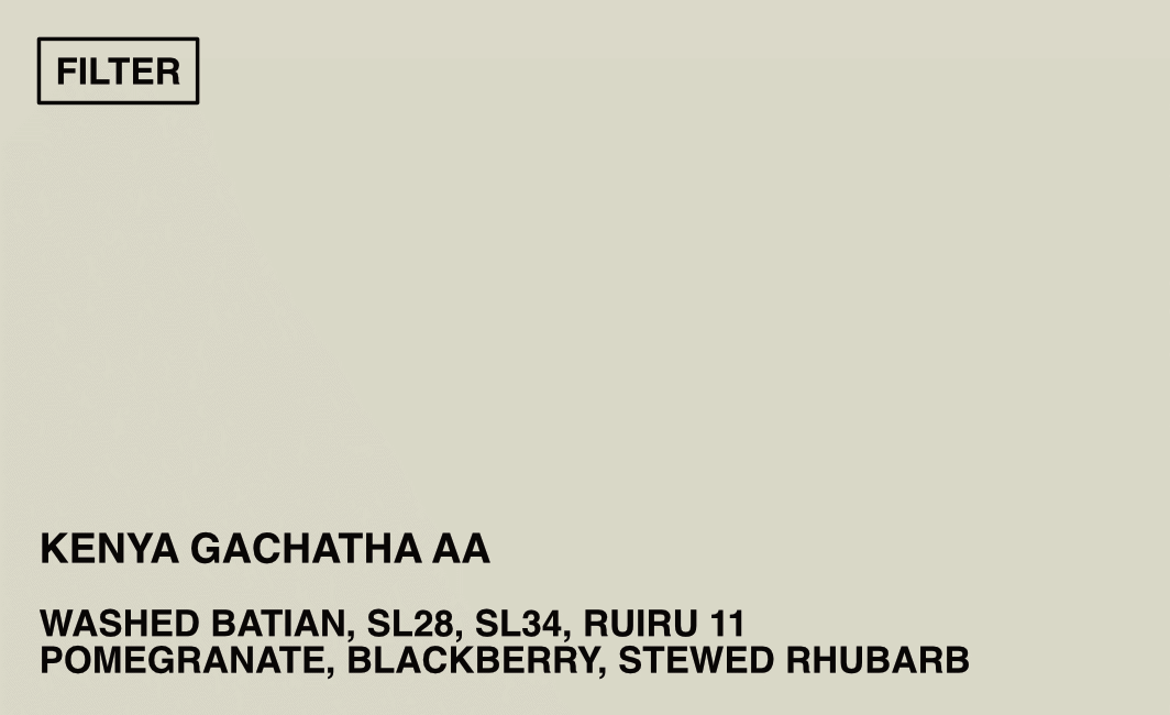 [FILTER] KENYA GACHATHA AA - WASHED BATIAN, SL28, SL34, RUIRU 11