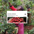 SEASONAL ESPRESSO