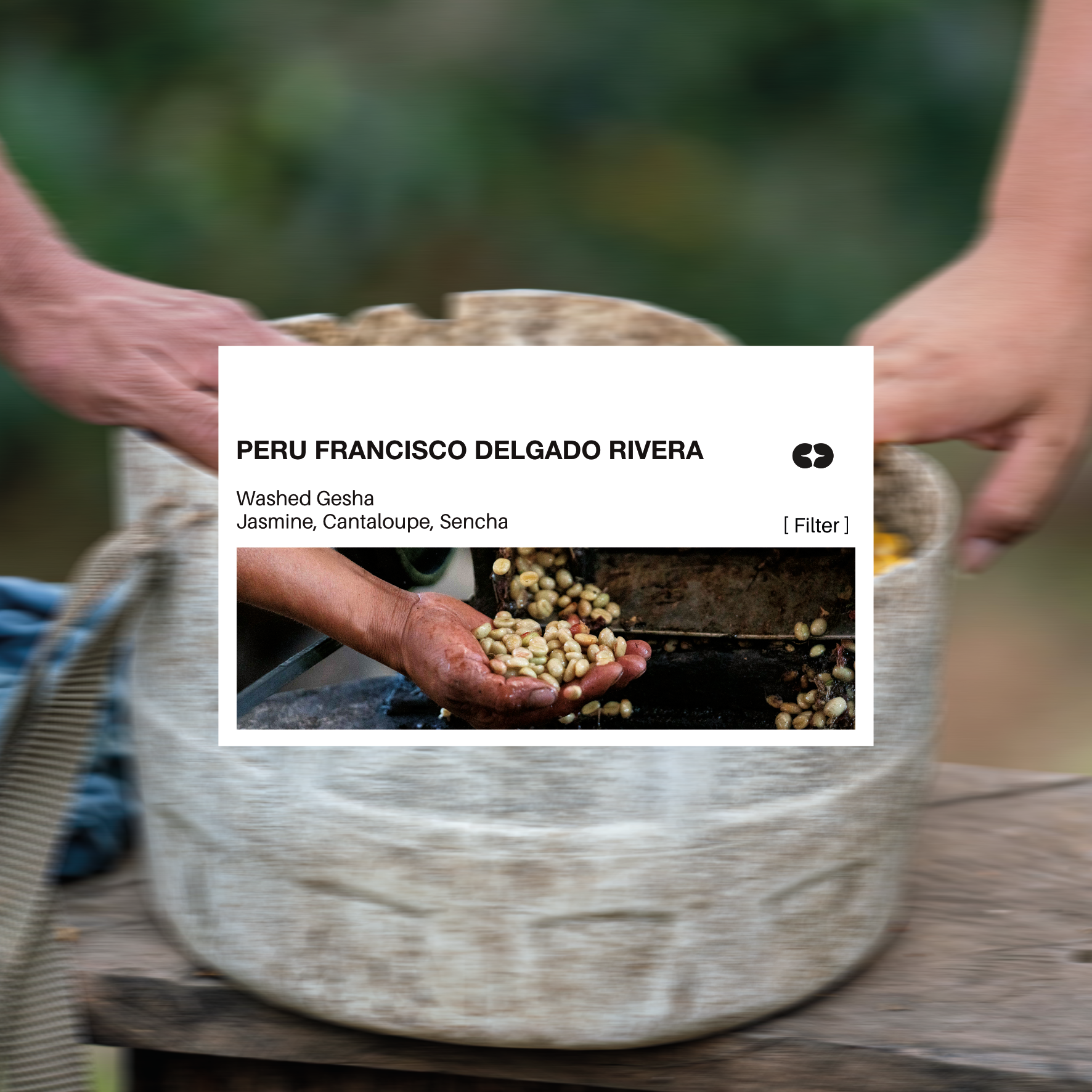 [FILTER] PERU FRANCISCO DELGADO RIVERA -  WASHED GESHA