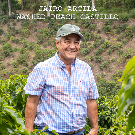 [FILTER] COLOMBIA JAIRO ARCILA - WASHED PEACH CASTILLO