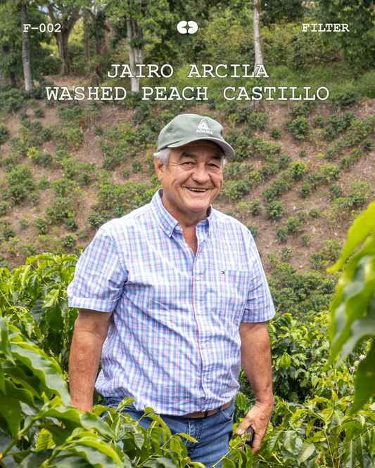 [FILTER] COLOMBIA JAIRO ARCILA - WASHED PEACH CASTILLO
