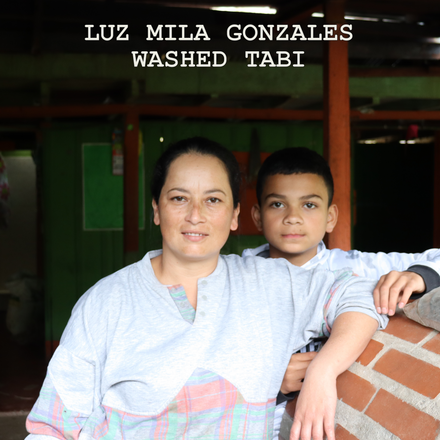 [FILTER] COLOMBIA LUZ MILA GONZALES - WASHED TABI